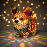 Corgi Deslumbrante